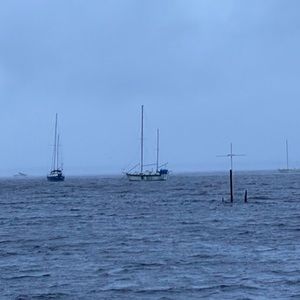 Meet your Posher, Bobby